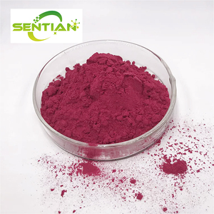 100% <b>Pure</b> Bulk Organic Red Beet Root <b>Powder</b> Hot Sale Drying Red Beet <b>Powder</b> - Product Image 2
