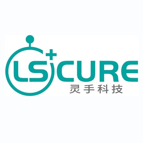 Shenzhen Lingshou Technology Co., Ltd,