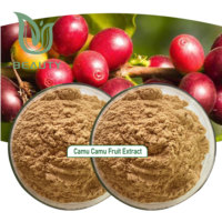 Poudre d'extrait de fruit de camu camu camu bio lyophilisé, superaliment riche en vitamine C pour le soutien immunitaire, sac de santé de la peau, fournisseur en gros