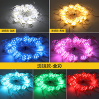 Lumière LED à points de pixels extérieure adressable DMX512 30mm 50mm Monochrome RGB/RGBW DC12V Dimmable IP68