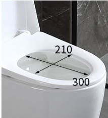 โถสุขภัณฑ์เซรามิกแบบชิ้นเดียว สีขาวเงา พร้อมบิเดต์ ระบบ Washdown สำหรับห้องน้ำ - Product Image 5