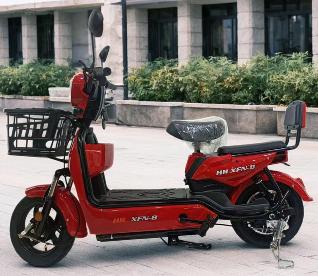 Manufacturer's Electric Cargo Bike With 450W Rear Carrier Motor 48V Lead Battery Steel Frame Model Number Cargo