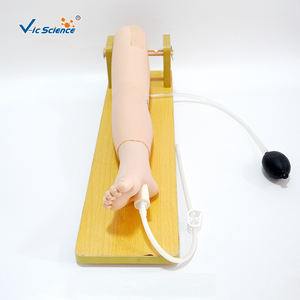 Modelo Anatómico de Punción Venosa Femoral y de Médula Ósea <span class=keywords><strong>Infantil</strong></span> para Escuelas de Formación en Ciencias Médicas, Material de PVC Ecológico - Product Image 1