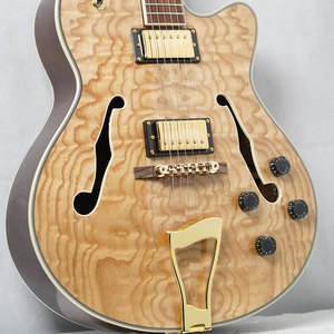 جيتار كهربائي للمبتدئين عالي اللمعان بـ 6 أوتار، جوانب من خشب الساپلي ولوحة أصابع من خشب الورد، مع ميكروفون واحد - Product Image 2