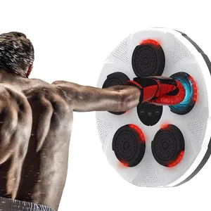 Kids Adults Stress Release Music Boxing Training Machine Indoor Smart Wall Mounted BT Speaker Punching Sports Equipment
