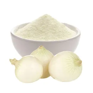 25 KG/BAG Groß verpackung OEM Natural Dehydrated White Onion Powder