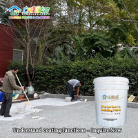 Peinture murale effet granit liquide Limeijia Resin Wash Stone Finish Coat, film protecteur transparent pour usage extérieur sur pavés