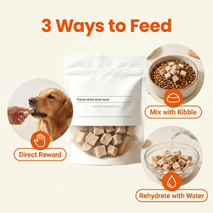 Friandises pour animaux de compagnie en cubes de canard lyophilisés, marque privée OEM, 100% ingrédient unique, hypoallergéniques, sans céréales, pour chiens et chats - Product Image 5