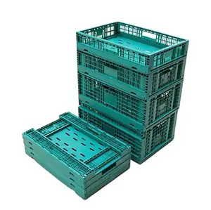 Caisses pliantes en plastique boîtes panier pour la collecte de fruits et légumes