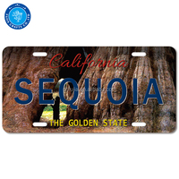 Plaque d'immatriculation personnalisée avec impression CMJN brillante par sublimation