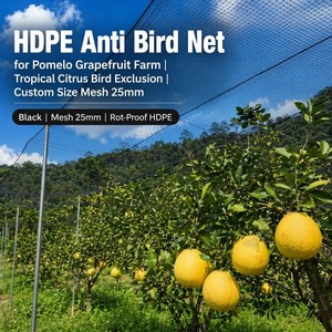 Filet anti-<span class=keywords><strong>oiseaux</strong></span> en HDPE de qualité alimentaire pour tunnel à fraises en champ ouvert, maille fine 10mm-20mm - Product Image 1