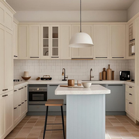 Ensemble d'armoires de cuisine durables en acier inoxydable résistant aux rayures pour toute la maison avec rangement pour meubles d'évier de fournisseur chinois