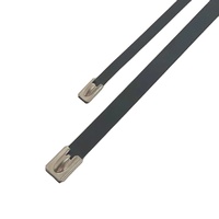Nylonbeschichtete 12-Zoll-Kabelbinder mit Reißverschluss, Edelstahl, 100er-Pack
