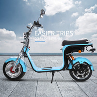 Motocicleta Eléctrica Azul de Alta Velocidad Estilo Harley de Dos Ruedas, Vehículo Deportivo para Adultos, 2000W20AH, Alcance Máximo 120KM