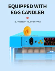 Termômetro higrômetro automático para incubadora, ovo de papagaio, incubadora, preço na máquina de etiopia e frango
