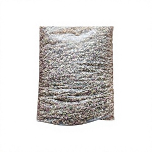 Pistaches séchées comestibles brutes et transformées, qualité S, en carton, d'Inde, par DEV NAMO, durée de conservation de 24 mois, pour collation humaine - Product Image 2