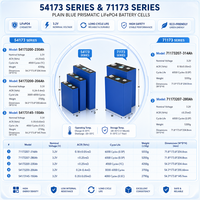 Cellule de batterie prismatique LiFePO4 3,2 V 150 Ah 206 Ah 230 Ah 280 Ah 314 Ah Grade A à décharge profonde pour stockage d'énergie solaire