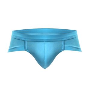 Ropa Interior Masculina Sexy de Cintura Baja, Corte Recto y Bolsa en U Pequeña - Product Image 1