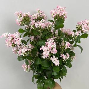 Décoration de la maison artificielle Murraya Paniculata soie Osmanthus branche <span class=keywords><strong>laurier</strong></span> doré soie <span class=keywords><strong>fleur</strong></span> accessoires de tir noël pâques - Product Image 3