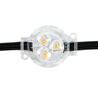 SHIJI 30mm RGBW+W Éclairage LED intelligent étanche à points lumineux IP67 WS2805 pour extérieur, lumières de piste de Noël permanentes