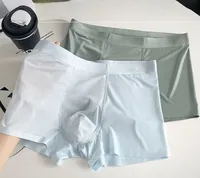 Caleçons Boxers Ultra Fins en Soie Glacée pour Hommes, Sans Coutures, Respirants, Séchage Rapide, Doux, Plusieurs Couleurs, Taille Personnalisée, Expédition Rapide