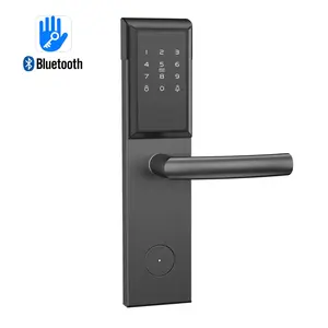 Wifi Bluetooth TTHotel Apartment hotel door lock with RFID smart card passwords code keys mobile Apps PC remote unlock