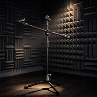 Support de microphone, petite guitare pour enfants, instrument Erhu, violon à tête de cheval, tambour de sol, support de microphone trépied