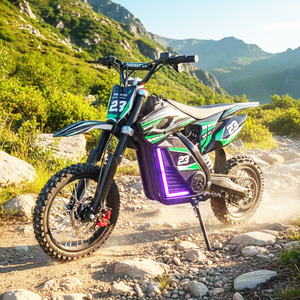 Moto <span class=keywords><strong>tout</strong></span>-<span class=keywords><strong>terrain</strong></span> électrique de performance 60V 2500W d'usine, 75 km/h, avec moteur sans balais - Product Image 3