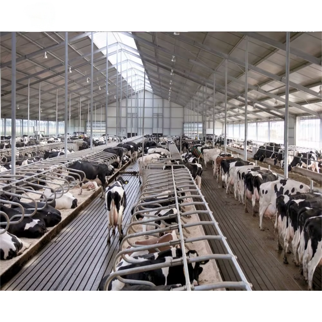 Ready Made Prefab Steel Structure Dairy Cow Farm Shed Barn Livestock Housing Custom Size