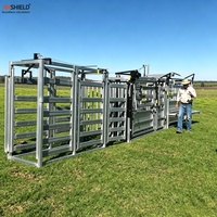 Système automatique de tri du bétail avec lecteur EID et intégration d'une balance