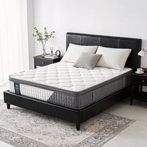 Colchón Económico de Espuma Viscoelástica de 10 Pulgadas, Colchón de Muelles Enrollado para Dormitorio y Hotel, Colchón de Látex Hipoalergénico para un <span class=keywords><strong>Mejor</strong></span> Sueño - Product Image 1