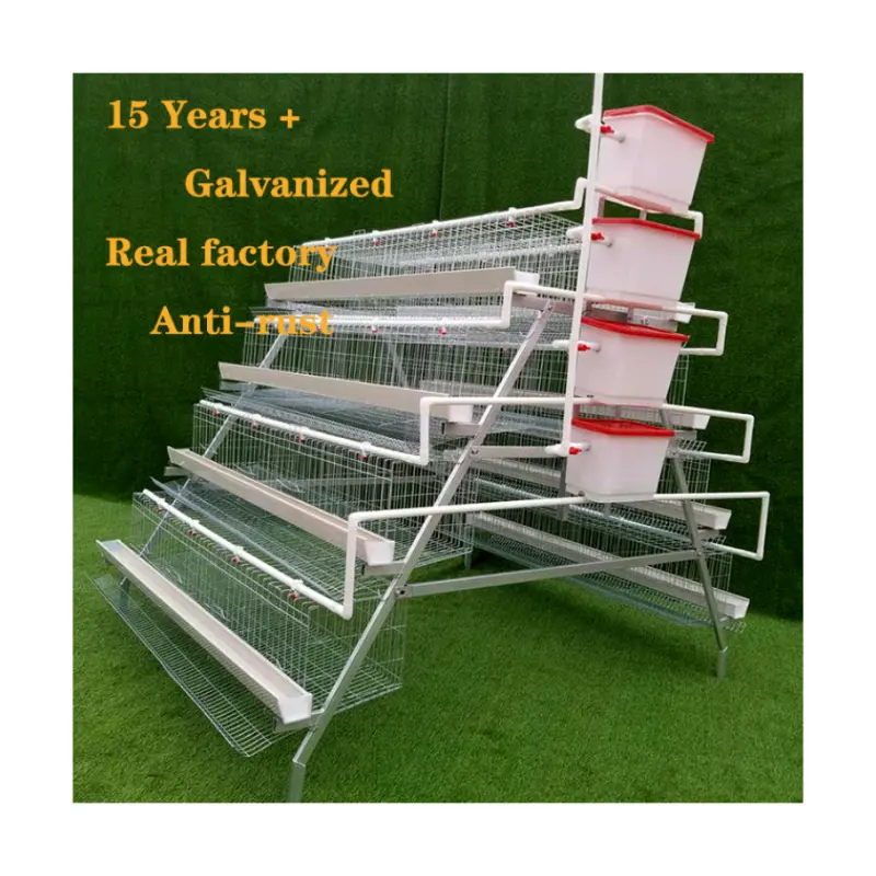 Battery A Type chicken cage Laying egg Chicken layer cage with feeding equipment system for breeding poultry hens farm