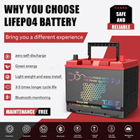 T.E.T 12.8V 60AH 240A Arus Kontinu Kelompok 24 Baterai Starter Mobil LiFePO4 (Dilengkapi Bluetooth)-Pengganti Aki Timbal-Asam Garansi 2 Tahun