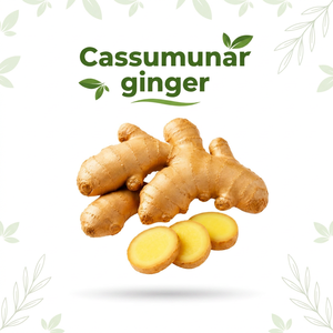 Bulk Supply Cassumunar <b>Ginger</b> <b>Fresh</b> Rhizome Premium Quality Exim Commodities East Java for Herbal Industry Food Processing OEM - Product Image 1