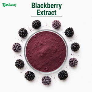 Extracto de Fruta de Mora 5% Antocianinas, Extracto de <span class=keywords><strong>Rubus</strong></span> <span class=keywords><strong>Fruticosus</strong></span>, Antocianinas Totales 5%, Probado por HPLC - Product Image 2
