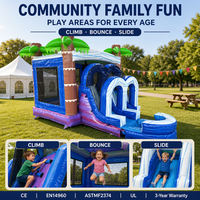 Château gonflable à double toboggan avec piscine à jets d'eau, thème palmier tropical, écologique, capacité 600 kg, location pour fêtes d'enfants