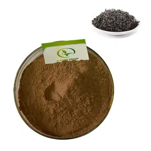 Polvo de extracto de té negro instantáneo de alta calidad superventas GMP