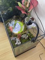 Lampe LED à clip pour aquarium JSD à focalisation réglable, 3W, 3 couleurs, à intensité variable avec minuterie pour aquariums d'Amérique du Sud