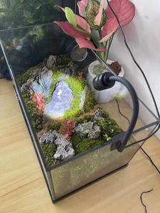 Lampe <span class=keywords><strong>LED</strong></span> à clip pour <span class=keywords><strong>aquarium</strong></span> JSD à focalisation réglable, 3W, 3 couleurs, à intensité variable avec minuterie pour aquariums d'Amérique du Sud - Product Image 6