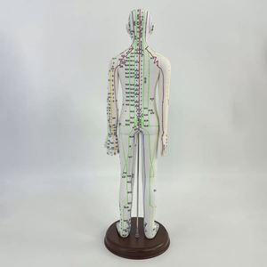 KyrenMed Modèle d'acupuncture féminin hauteur 52cm pour les professionnels PVC femelle avec points méridiens - Product Image 4
