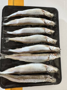 ปลา Capelin แช่แข็ง <span class=keywords><strong>shishamo</strong></span> Capelin ปลา <span class=keywords><strong>shishamo</strong></span> - Product Image 2