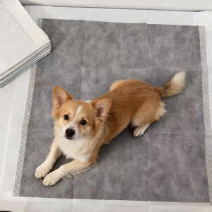 Meistverkaufte Aktivkohle-Hundetrainingsunterlage Urinabsorbierend Maßgefertigte Kohlenstoff-Welpenunterlagen Trainingsunterlagen für Hunde Einweg-Hunde-Pinkelmatte - Product Image 1
