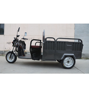 Vélo pliable tricycles motorisés 3 roues moto électrique adultes tricycles cargo pour adultes - Product Image 1