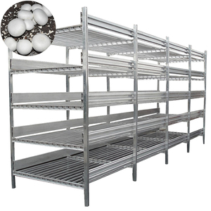 White Button Mushroom Growing Shelves For Mushroom <b>Cultivation</b> - Product Image 1