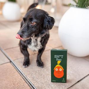 Bolsas para excremento de perro sin perfume Stable Genius – a prueba de fugas y duraderas, 4 rollos (60 bolsas) - Product Image 4