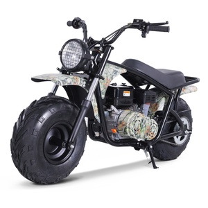 รถมอเตอร์ไซค์ Tao Motor รุ่นใหม่ปี 2023 สำหรับเด็ก รถวิบากขนาดเล็ก 200 ซีซี - Product Image 5
