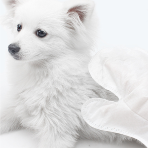 Most Popular <b>Glove</b> Pet Wet Wipes for Puppy and Cat Pet Care Cleaning Wipes - Product Image 1