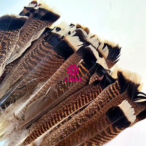 Plumas <span class=keywords><strong>de</strong></span> <span class=keywords><strong>Pavo</strong></span> Silvestre Naturales <span class=keywords><strong>de</strong></span> Diferentes Tamaños para Decoración, Venta al por Mayor <span class=keywords><strong>de</strong></span> Feather Factory, Precio Razonable, Excelente Calidad - Product Image 5