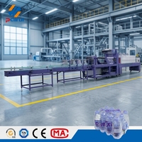 Machine d'emballage rétractable à double poussée de type linéaire entièrement automatique pour produits chimiques quotidiens avec système PLC