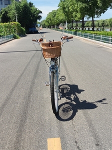 Vintage 26 pulgadas Euro-American 7 Speed Beach Cruiser Bike 140 Spoke Dual Shock Absorbing Chrome V Pedal de freno tipo Ordinary V - Product Image 3